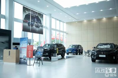 嘉诚汽车王敦海 中国豪华车市场，一定有WEY一席之地