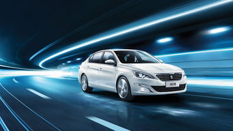 合肥大名银狮汽车销售服务 专业汽车销售与全方位客户体验